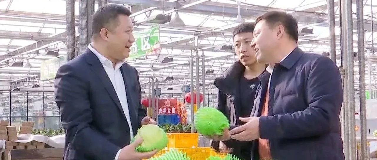 见证履职丨全国政协委员韩丹:关注乡村振兴 积极建言献策